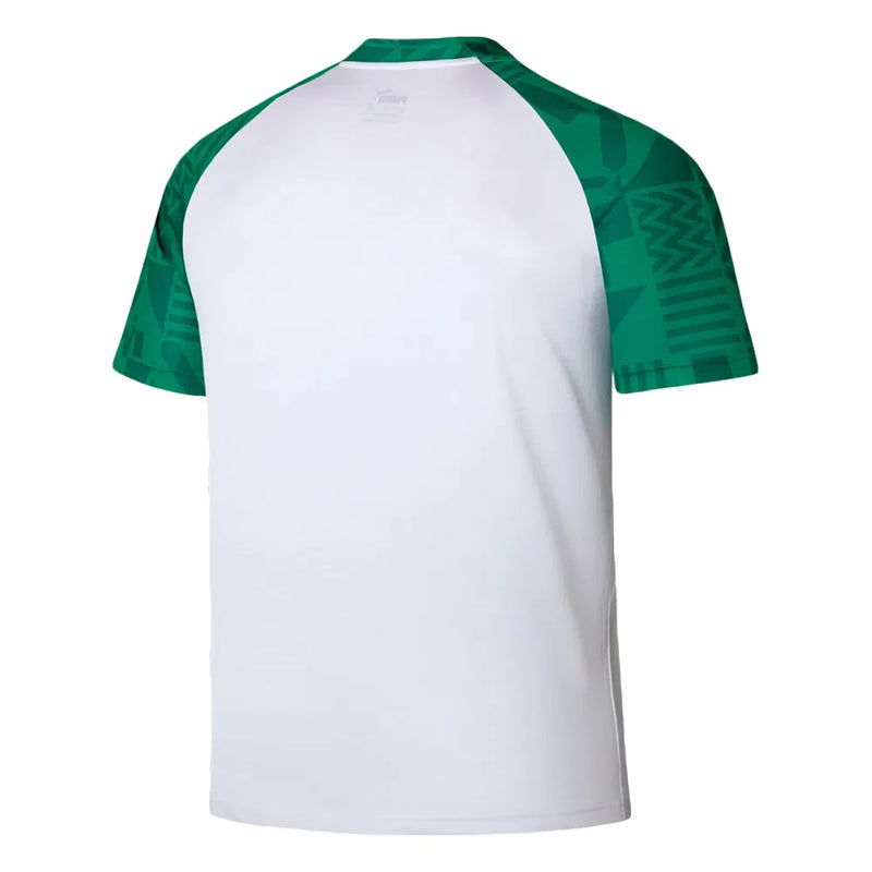 Camisa Palmeiras 23/24 Pré Jogo