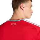 Camisa País de Gales FWC26 Home