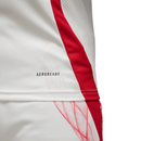 Camisa Japão 2024/25 Away