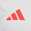 Camisa Regata Internacional 2025/26 Treino Cinza