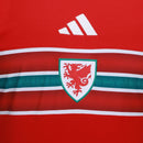Camisa País de Gales FWC26 Home