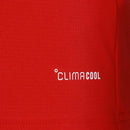 Camisa País de Gales FWC26 Home